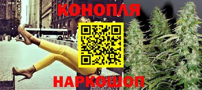 jwh Гай
