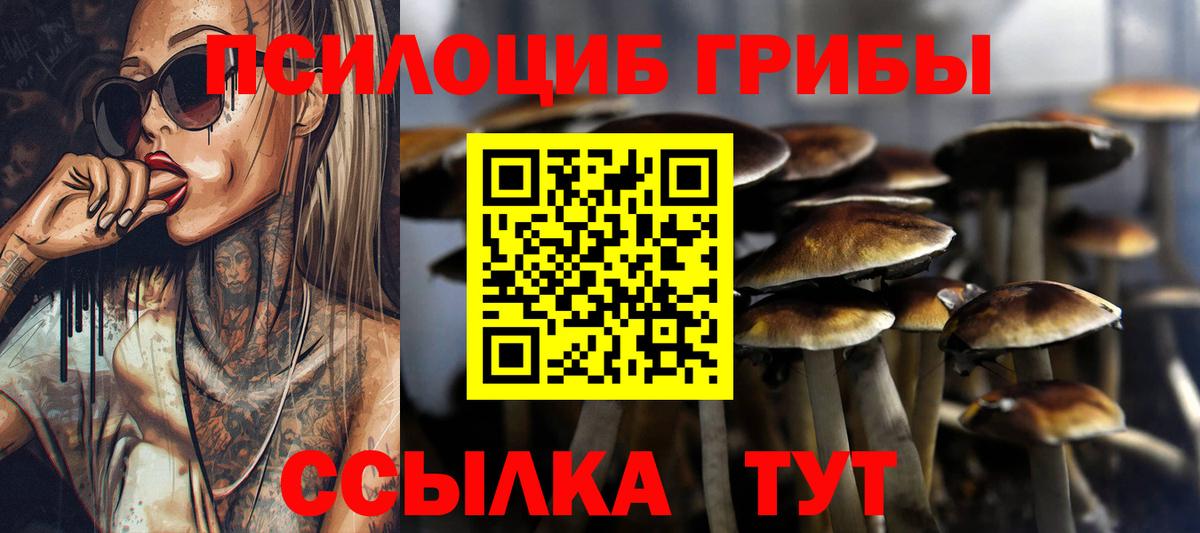 Галлюциногенные грибы GOLDEN TEACHER  Вход с VPN  Галлюциногенные грибы мицелий  Назарово 